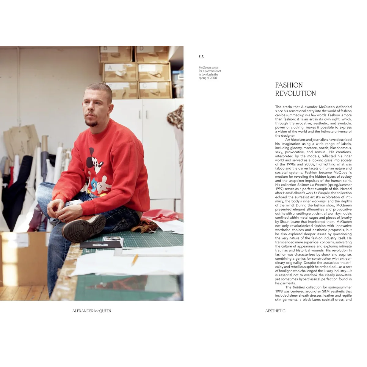 Alexander McQueen: Fashion Icon - Image 5