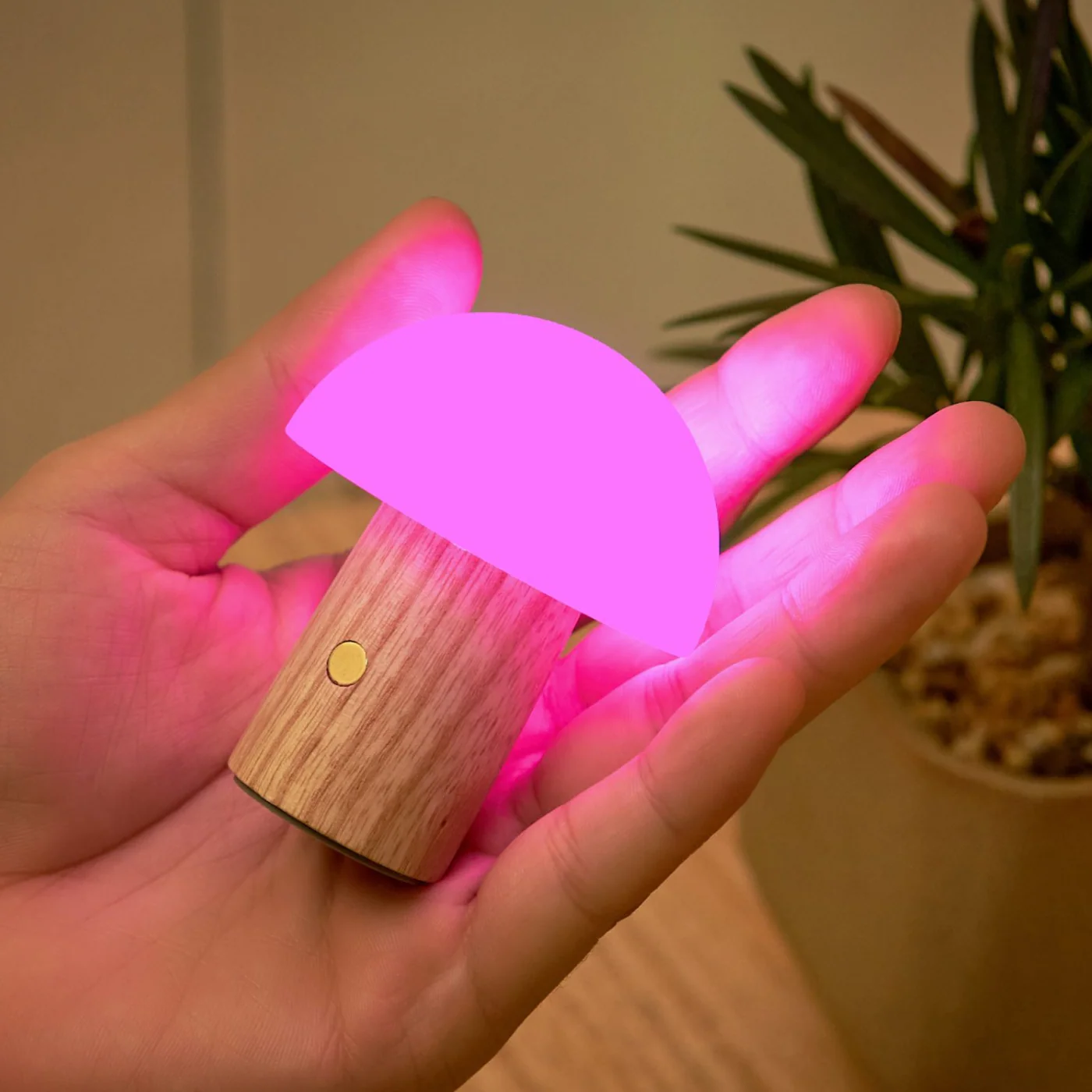 Alice Mushroom Light - Image 5