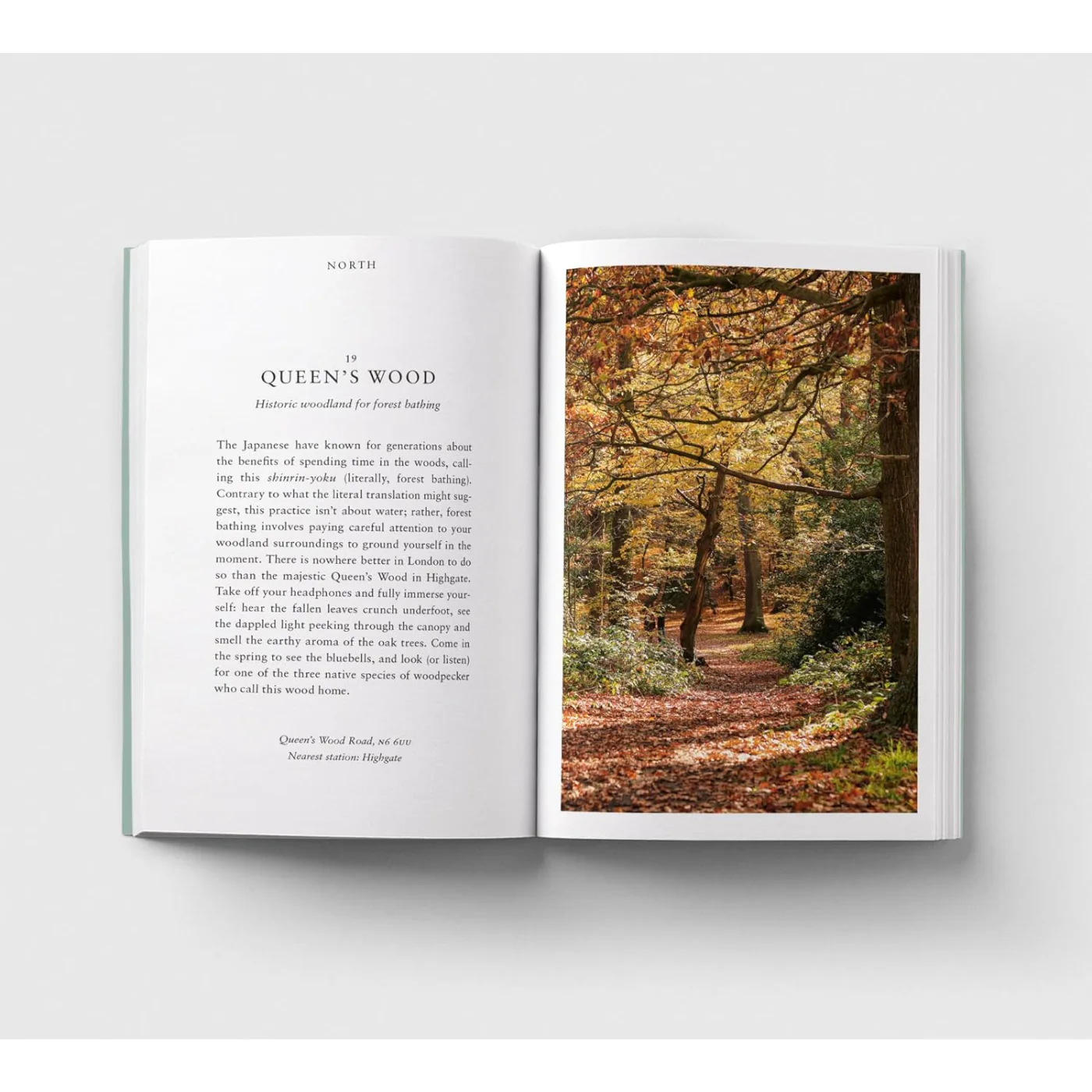 An Opinionated Guide to Calm London - Image 2