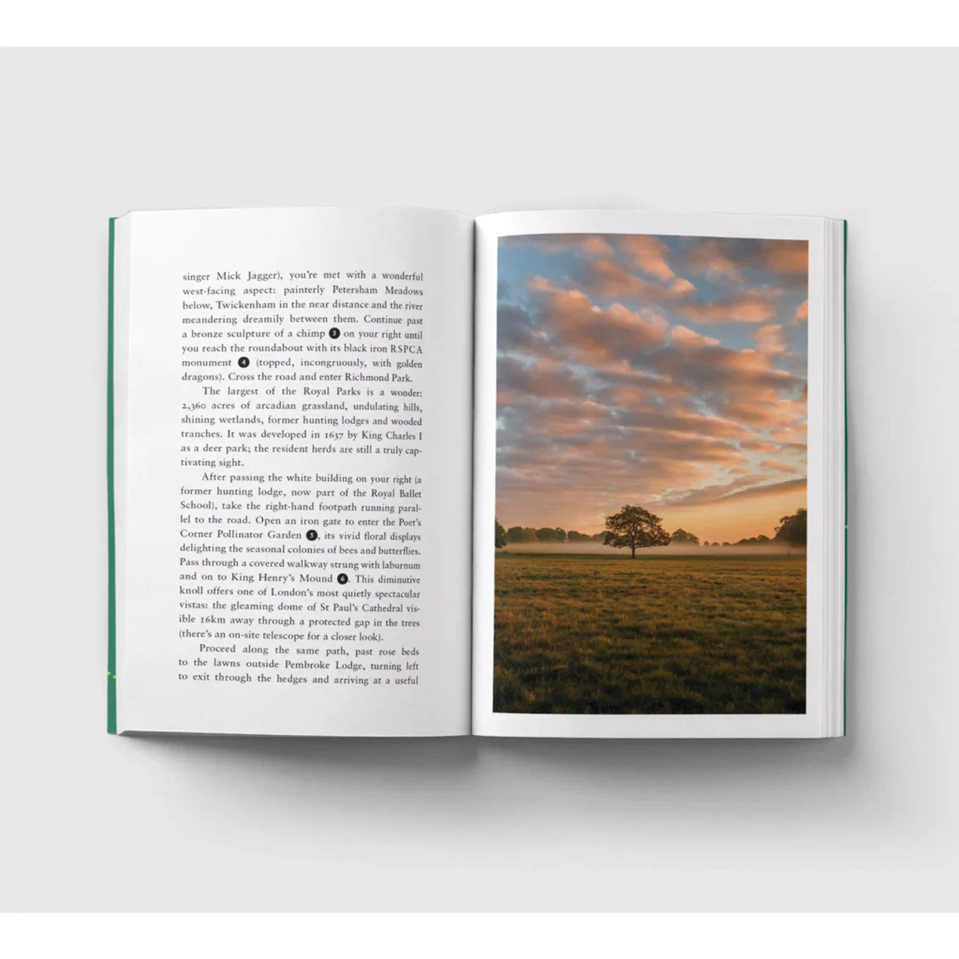 An Opinionated Guide to London Walks - Image 2