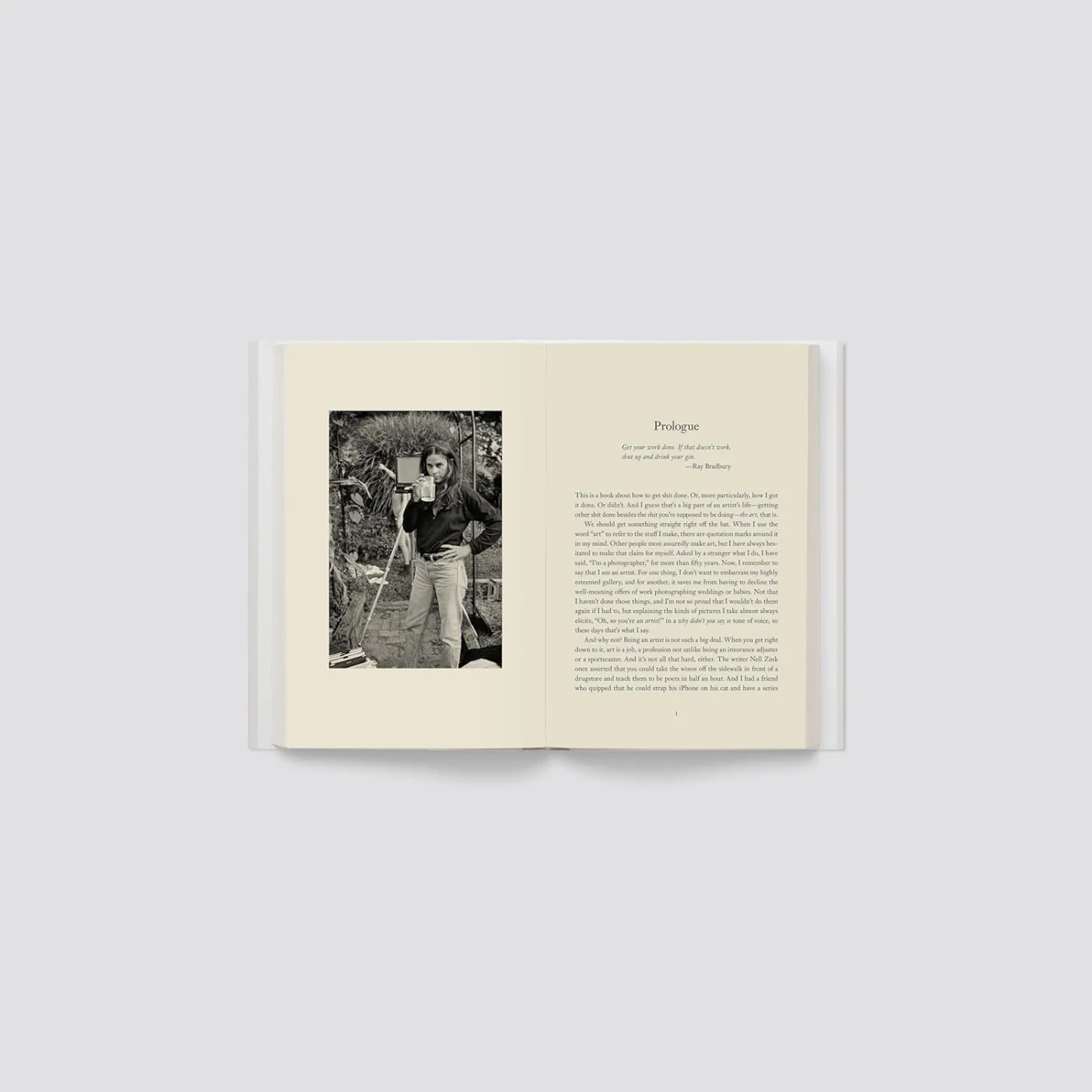 Art Work: On the Creative Life by Sally Mann - Image 2
