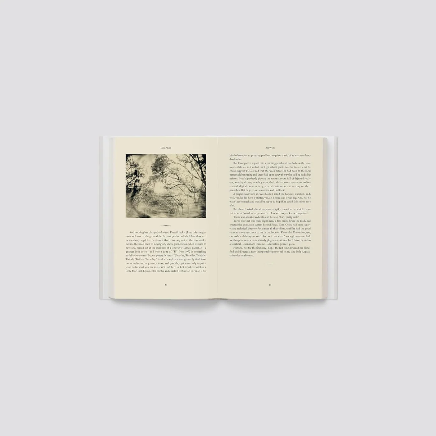 Art Work: On the Creative Life by Sally Mann - Image 5