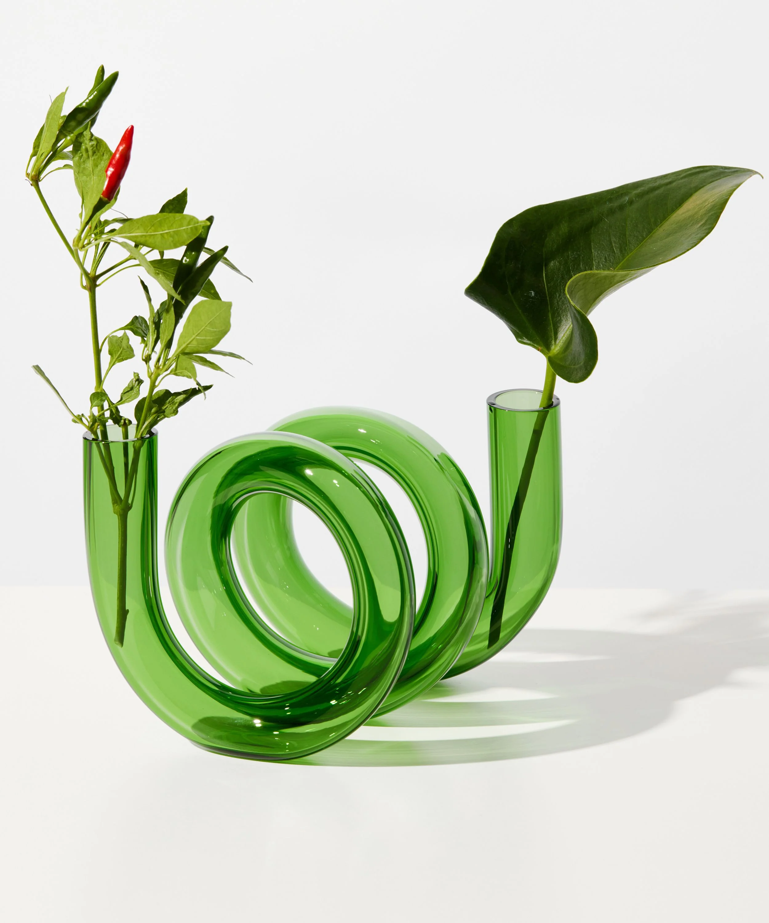 Curly Vase - Image 6