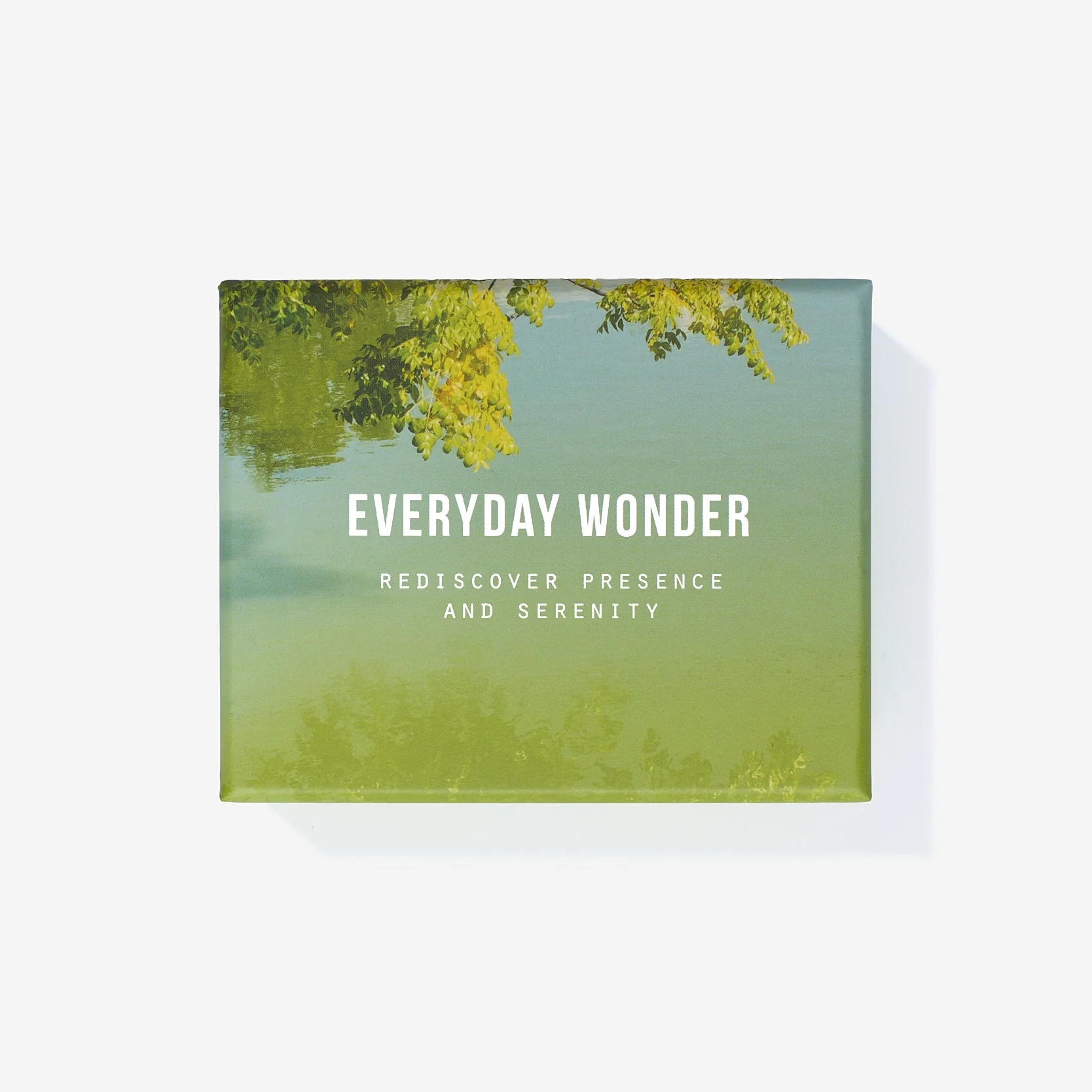 Everyday Wonder