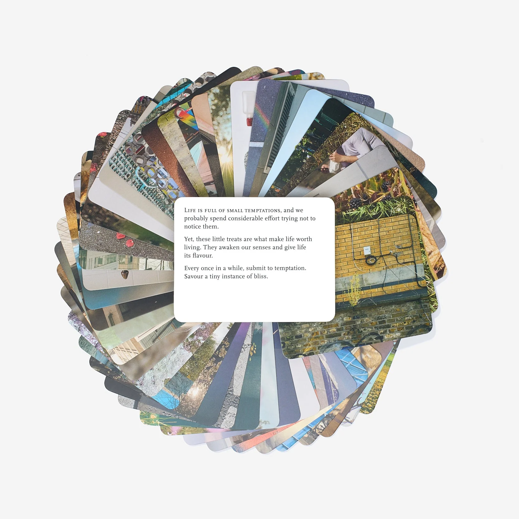 Everyday Wonder - Image 2