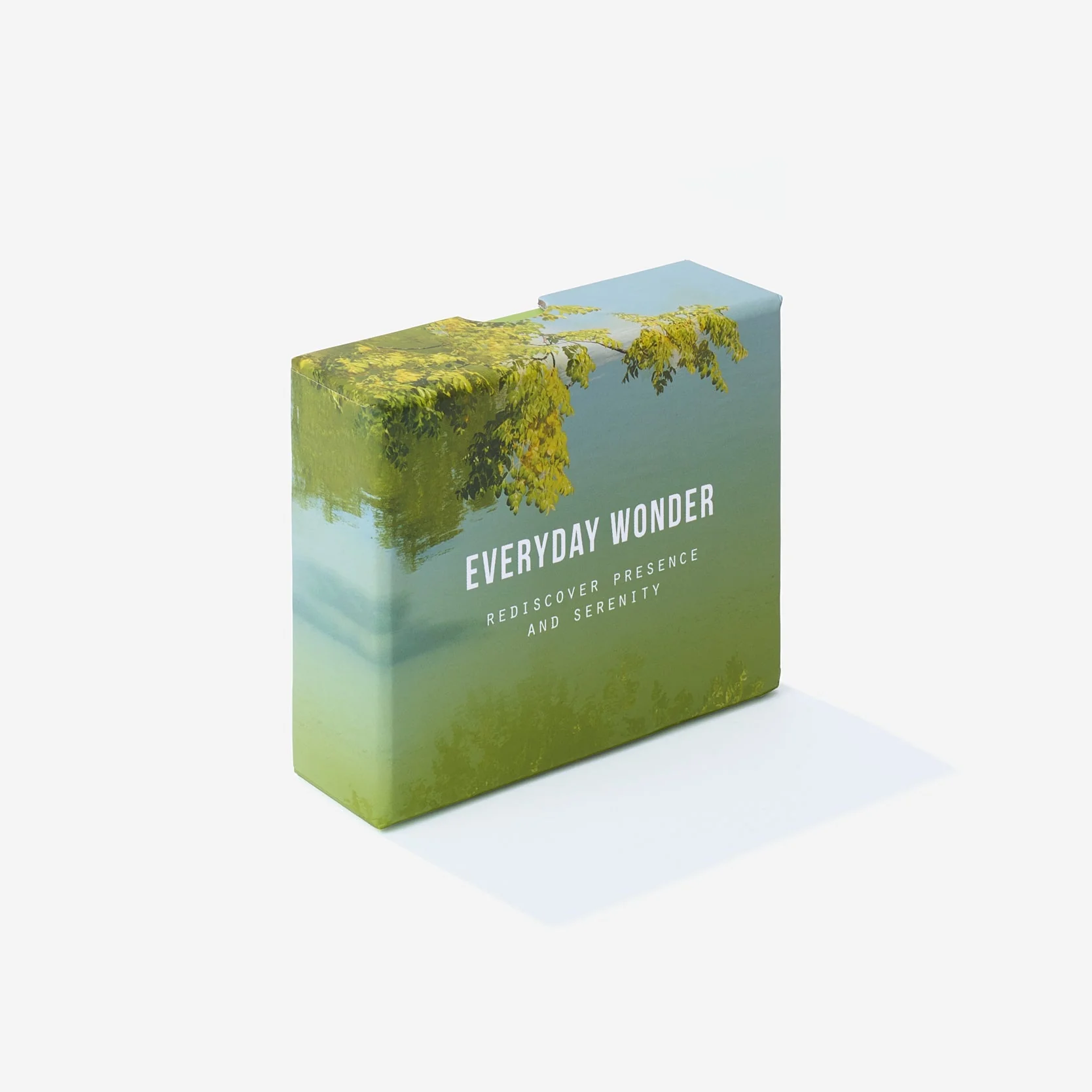 Everyday Wonder - Image 3