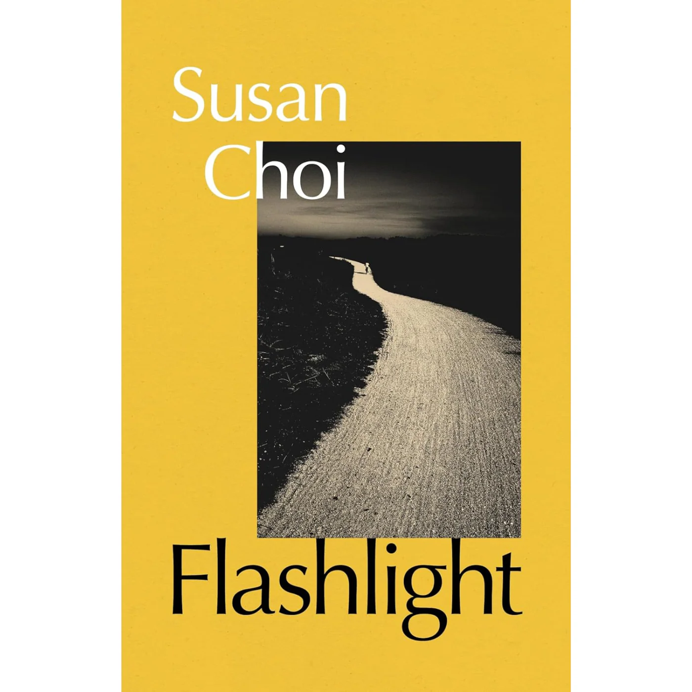 Flashlight, by Susan Choi