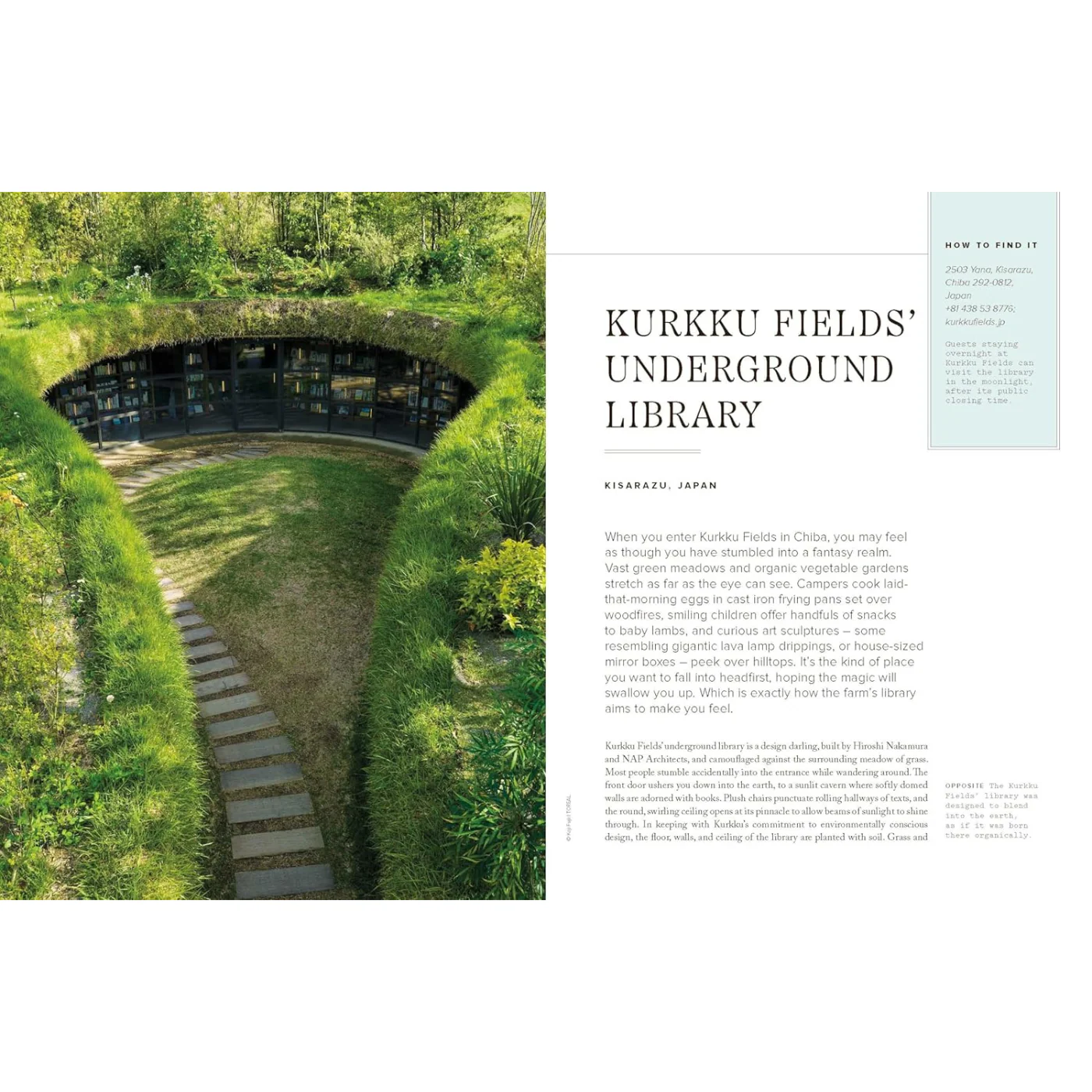 Hidden Libraries: The World’s Most Unusual Book Depositories - Image 3