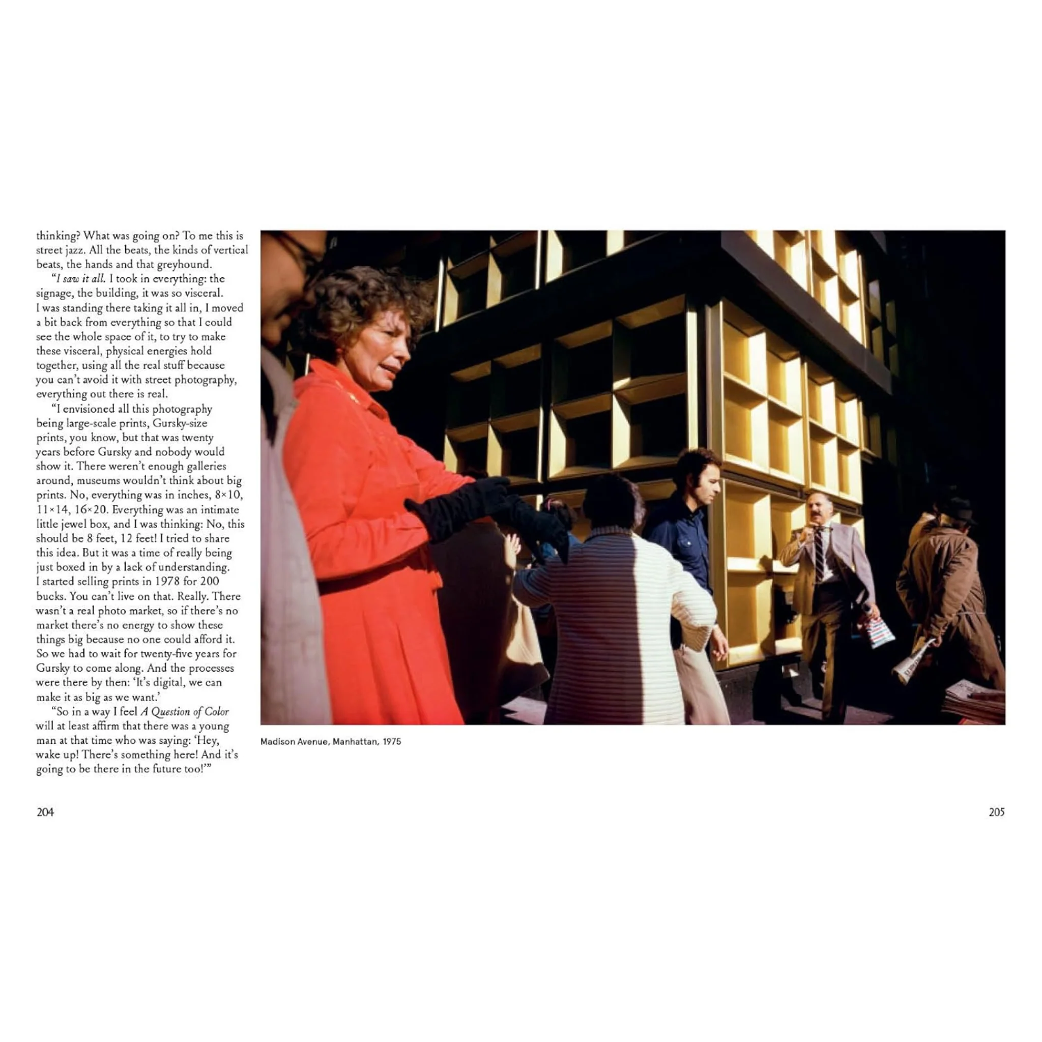 Joel Meyerowitz: A Question of Color - Image 2