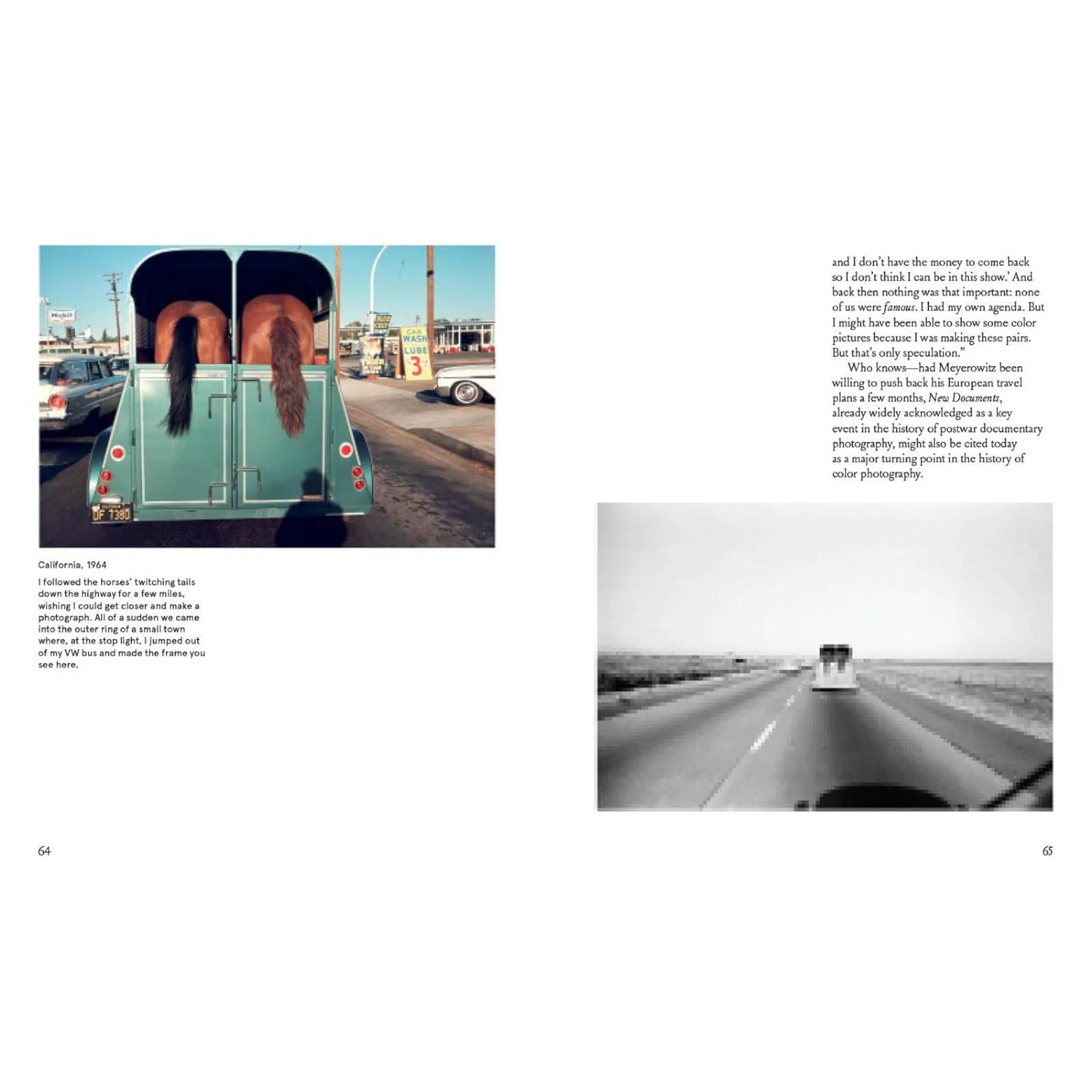 Joel Meyerowitz: A Question of Color - Image 3