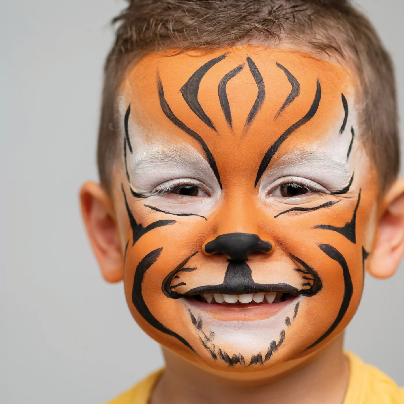Namaki Wildlife Face Painting Kit - Image 3