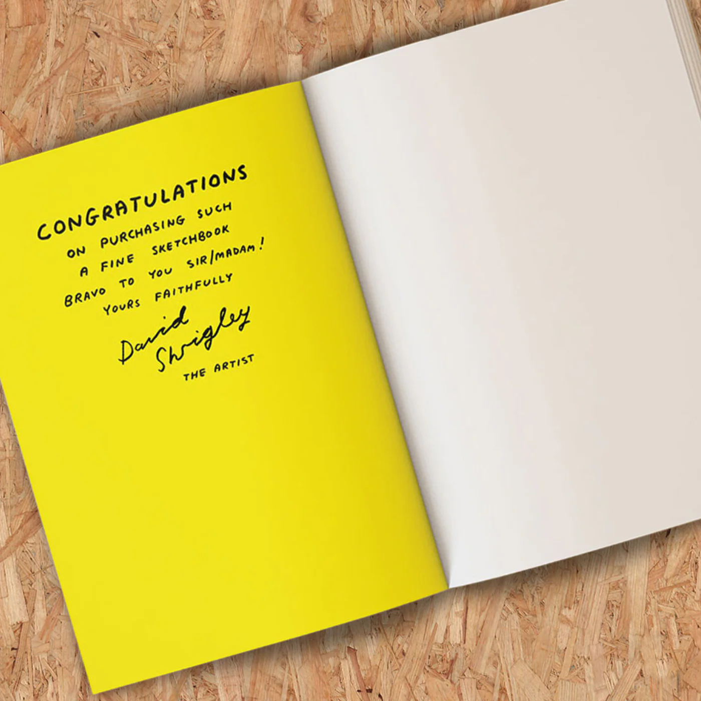 No One Disrespects My Drawings By David Shrigley Sketchbook - Image 3