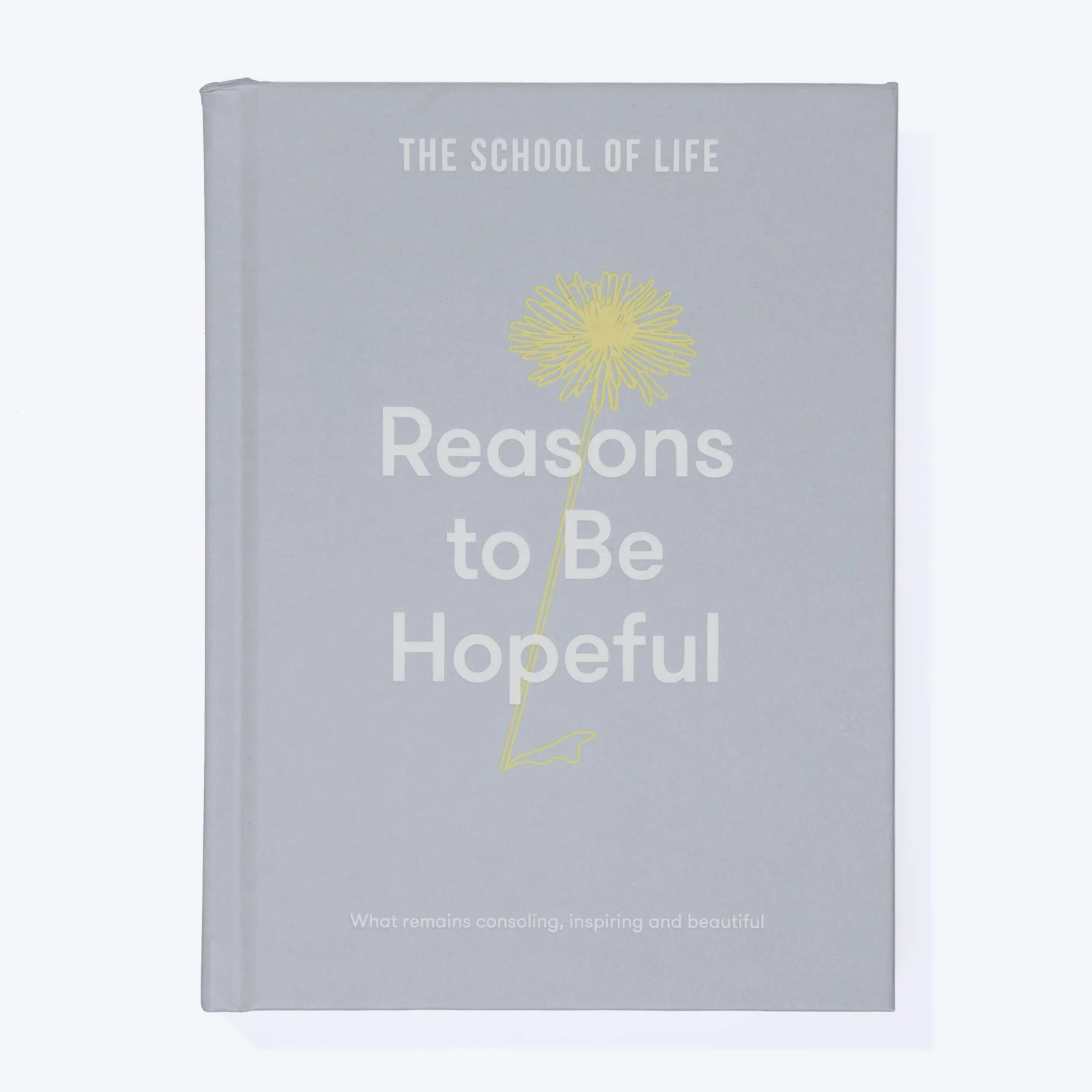Reasons to be Hopeful - School of Life