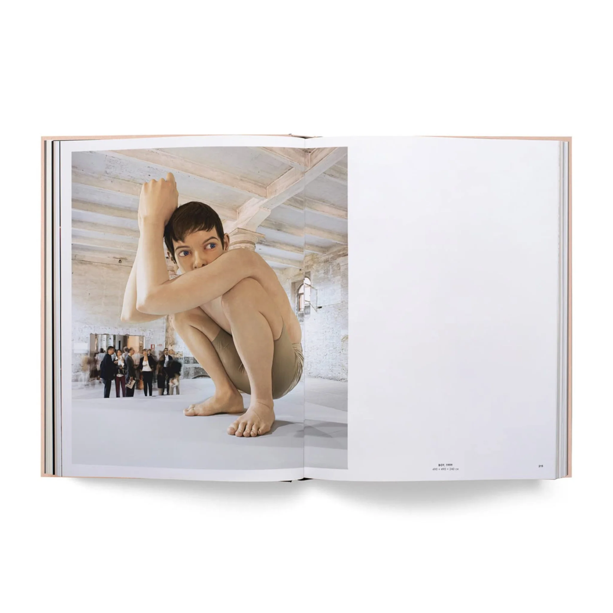 Ron Mueck - Image 3