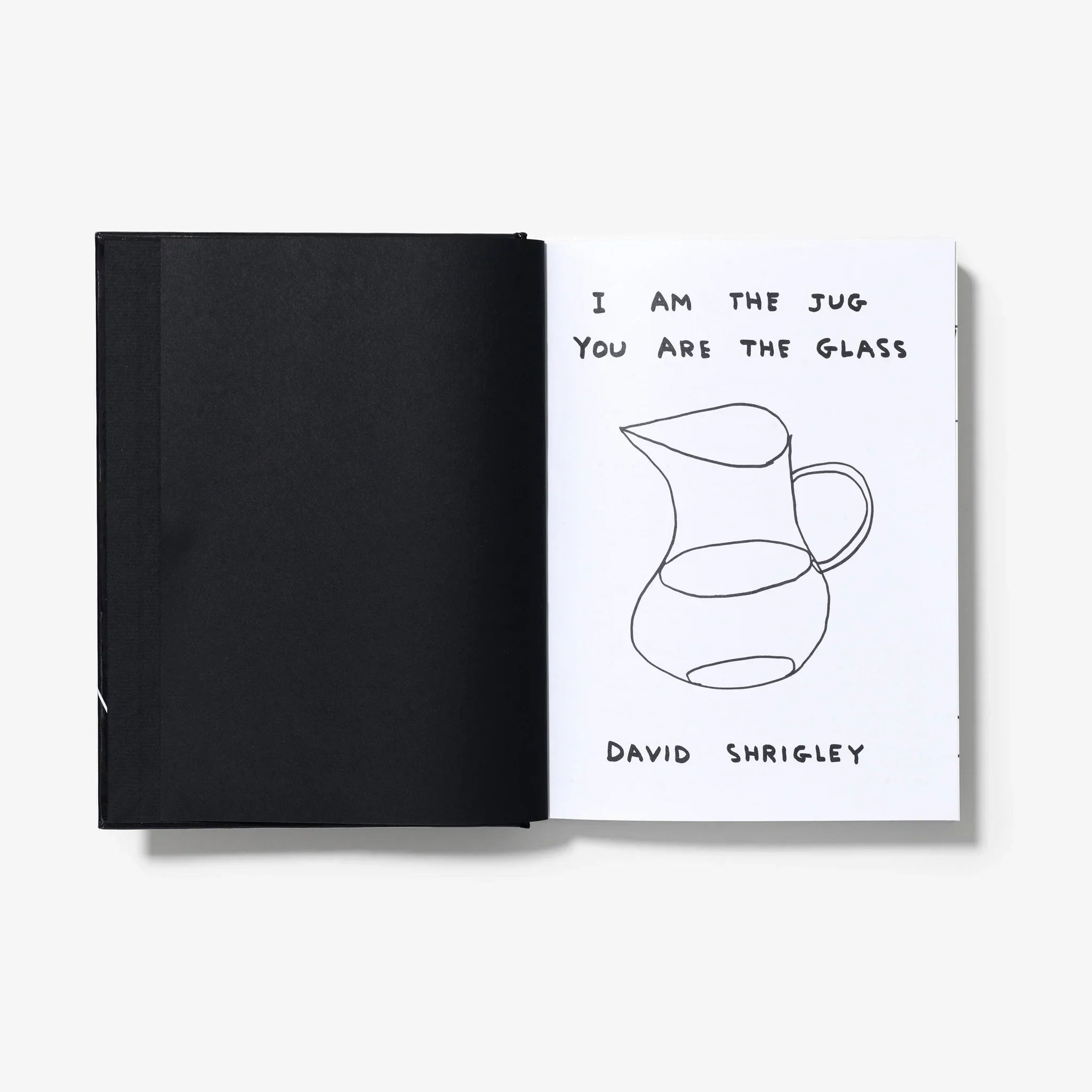 Shrigley: I am the Jug, You are the Glass - Image 2