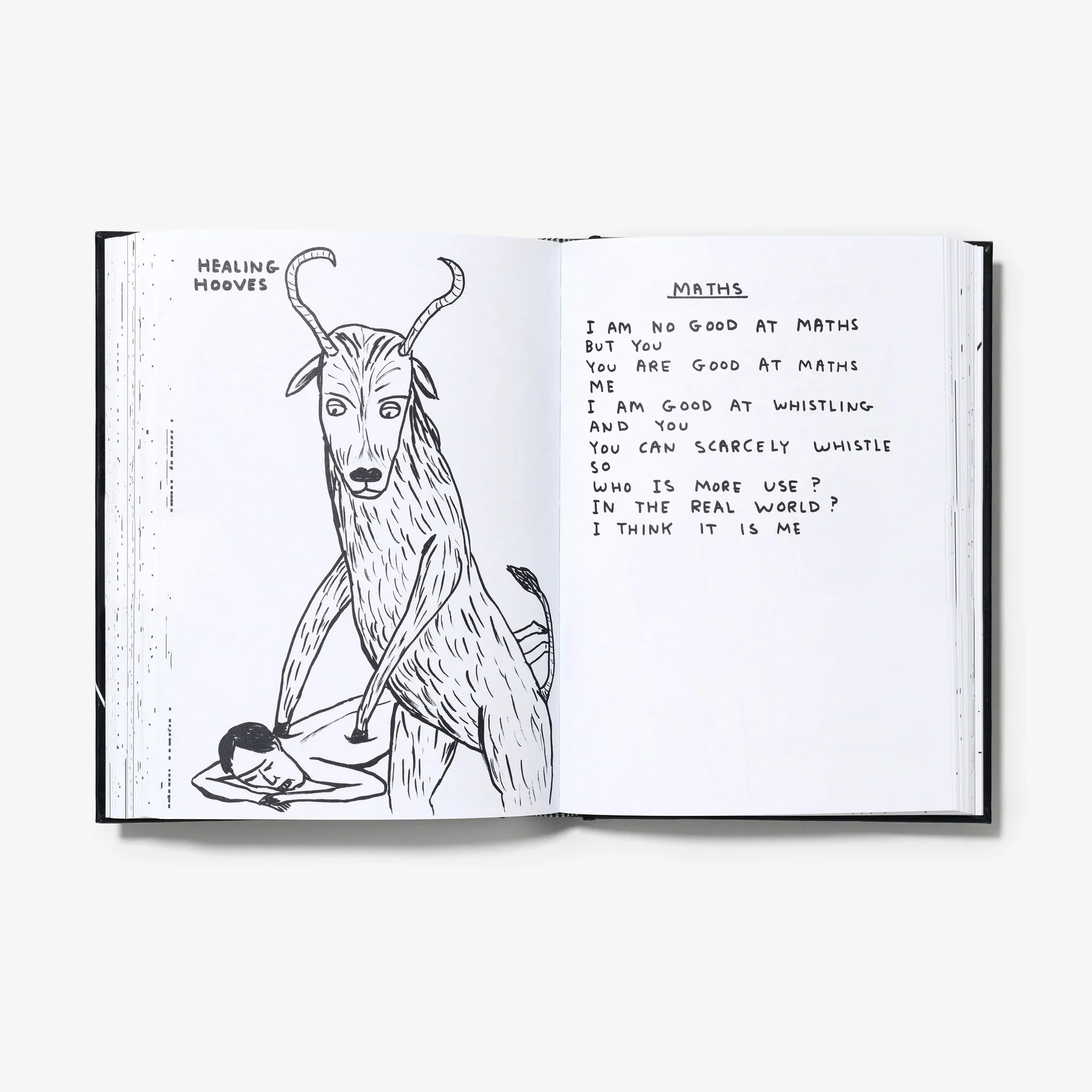 Shrigley: I am the Jug, You are the Glass - Image 3