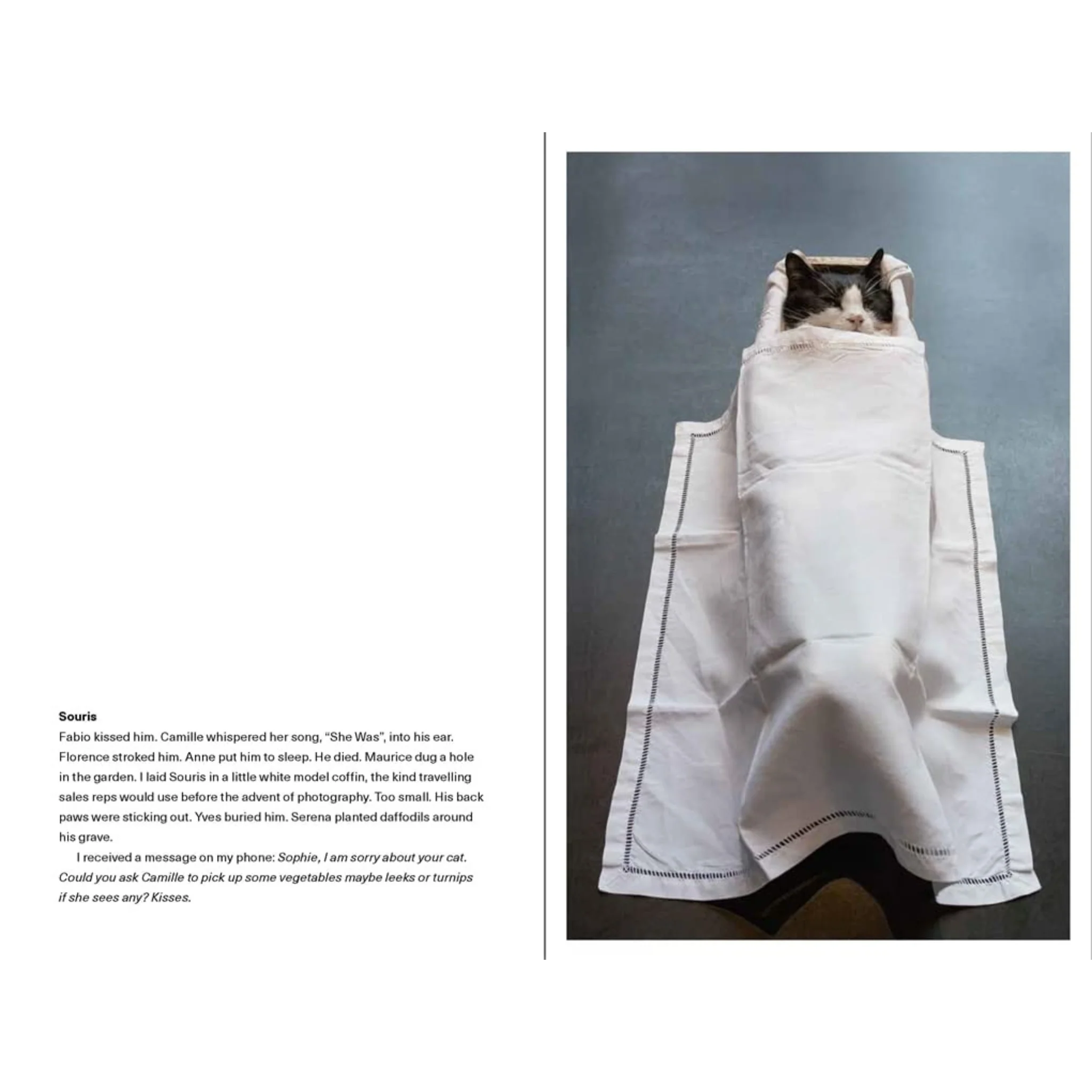 Sophie Calle (Photofile) - Image 3