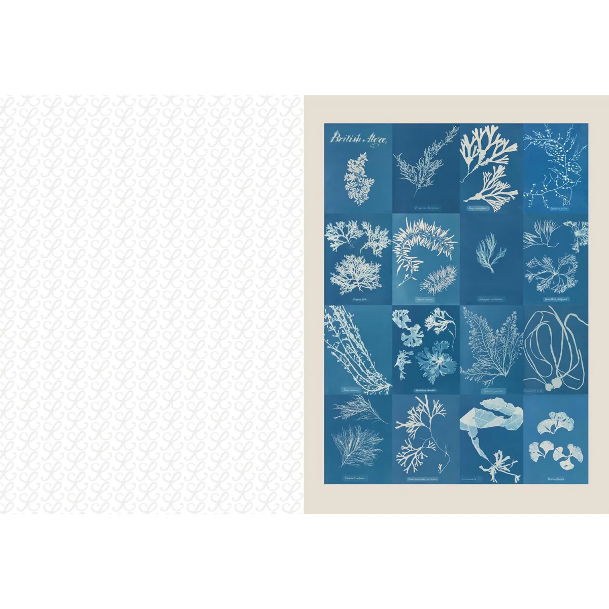 The Collage Compendium - Image 3