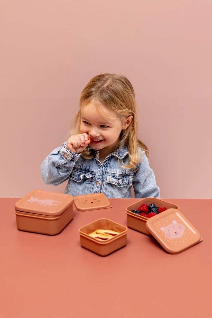 Trixie Kids Snack Box - Image 7