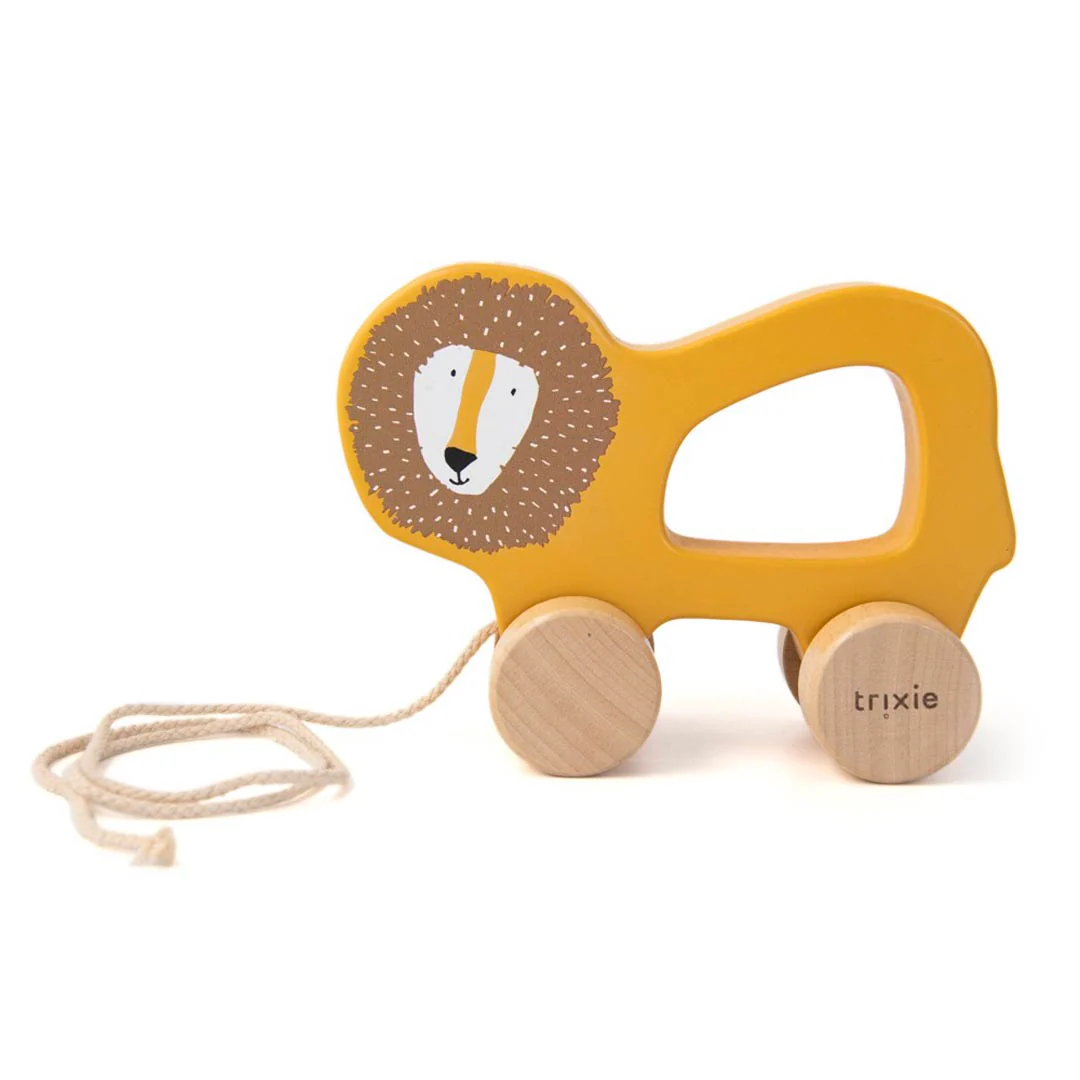 Trixie Pull Along Toy