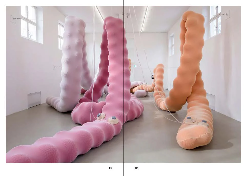When Forms Come Alive Exhibition Catalogue - Image 3